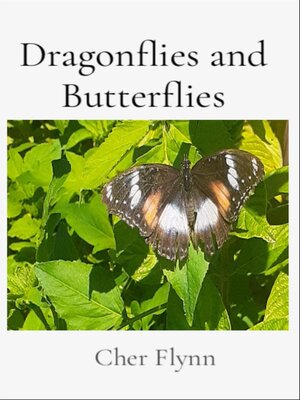 cover image of Dragonflies and Butterflies